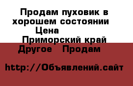 Продам пуховик в хорошем состоянии › Цена ­ 2 000 - Приморский край Другое » Продам   